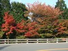 091027 028.jpg