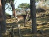 091027 050.jpg