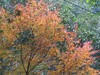 091120 020.jpg