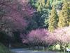 20100124 021.jpg