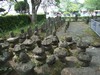 090506 007.jpg