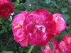 090506 015.jpg