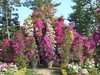090506 024.jpg