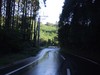 091027 002.jpg