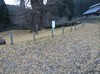 091206 036.jpg