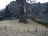 091206 037.jpg