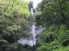 aya09 088.jpg