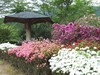 ookubo 052.jpg