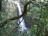 tuno09 026.jpg