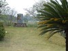 tuno09 041.jpg